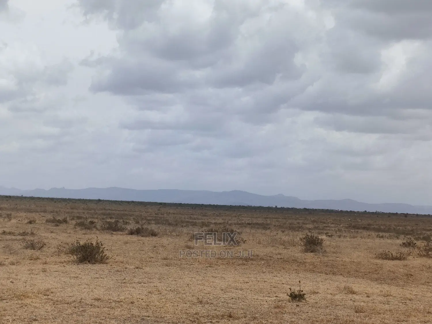 Nanyuki Sweet Waters