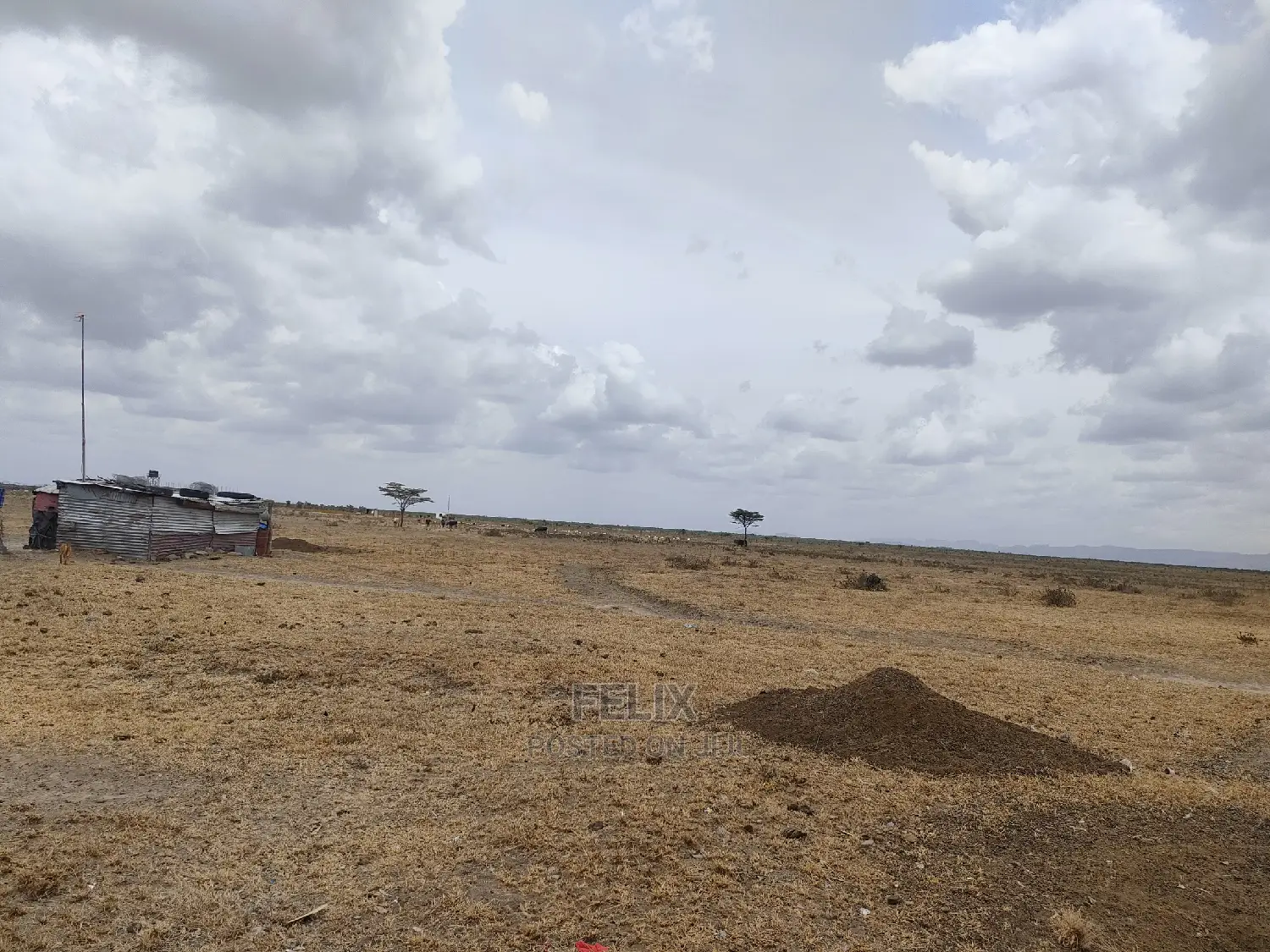 Nanyuki Sweet Waters