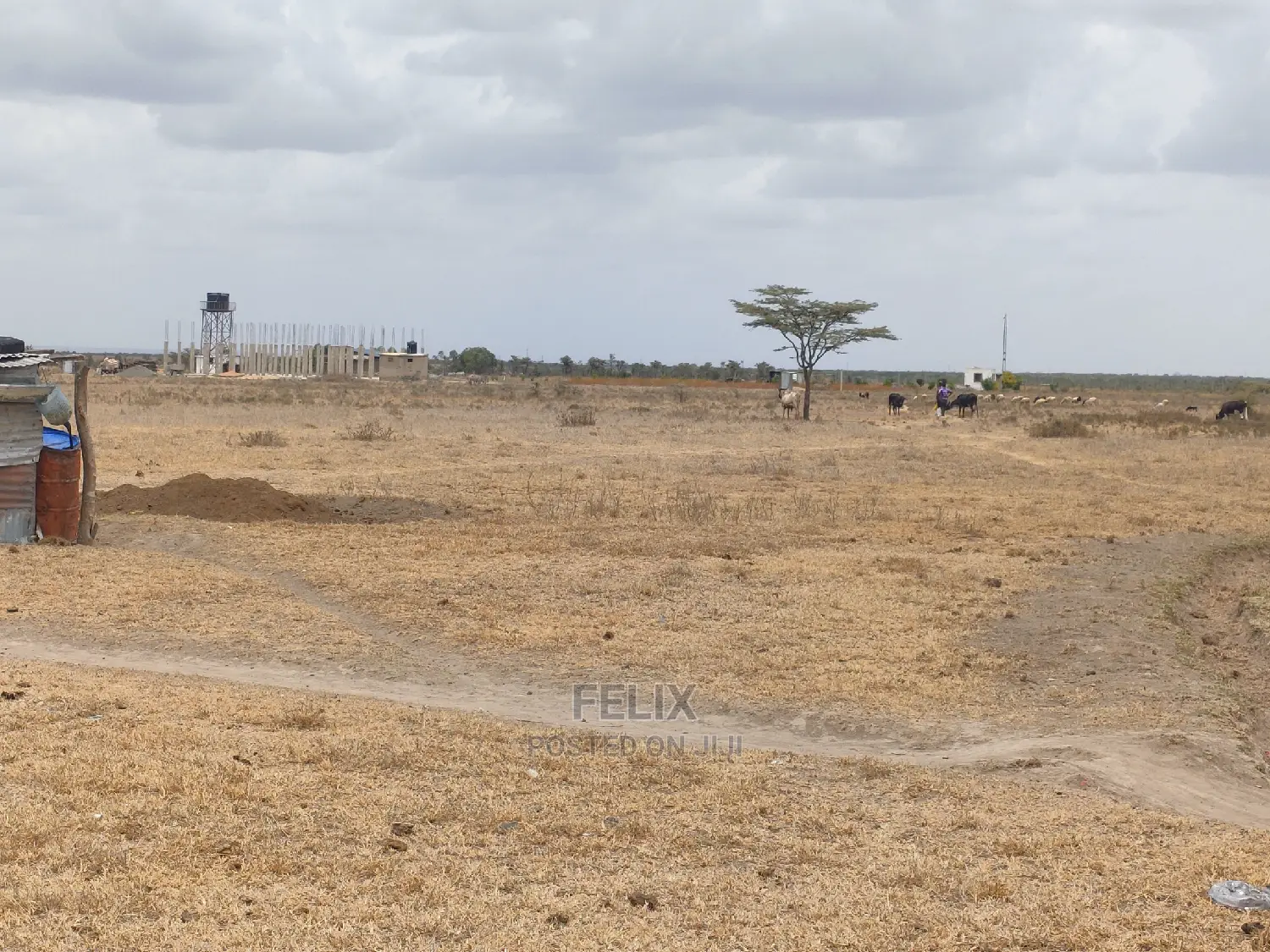 Nanyuki Sweet Waters