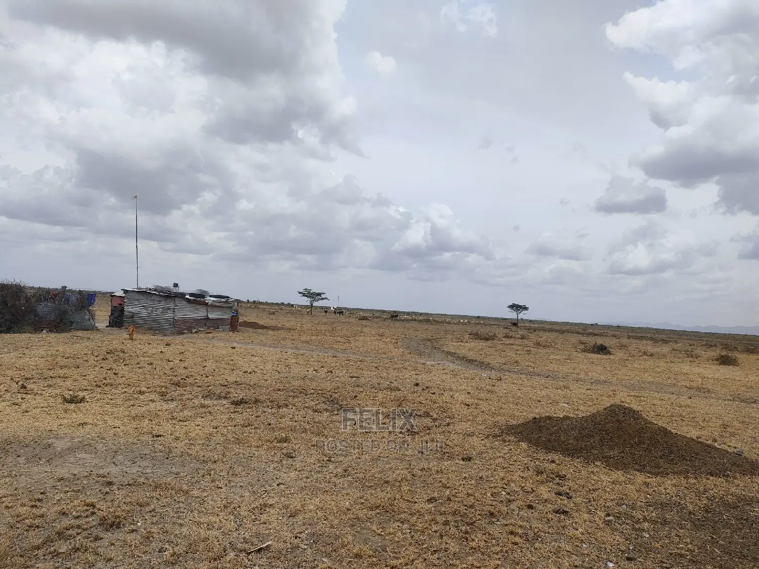 Nanyuki Sweet Waters