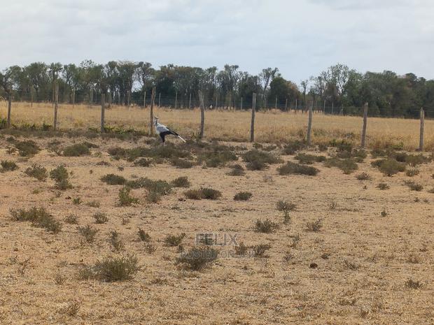 Nanyuki Sweet Waters - thumbnail 9