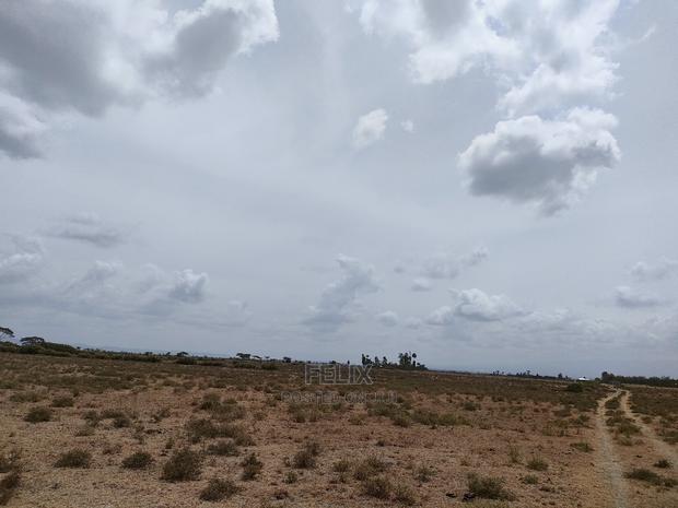 Nanyuki Sweet Waters - thumbnail 11