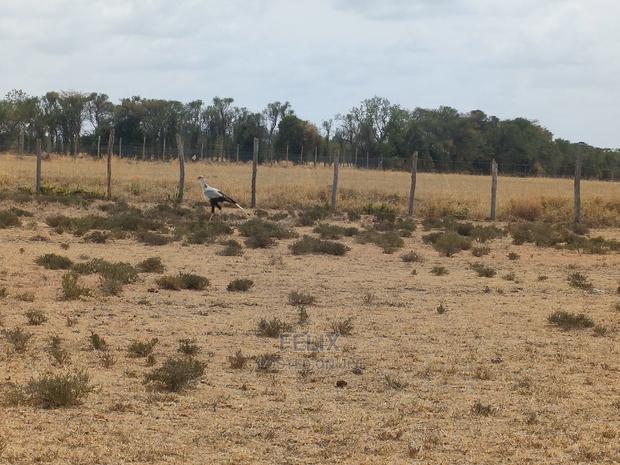 Nanyuki Sweet Waters - thumbnail 10