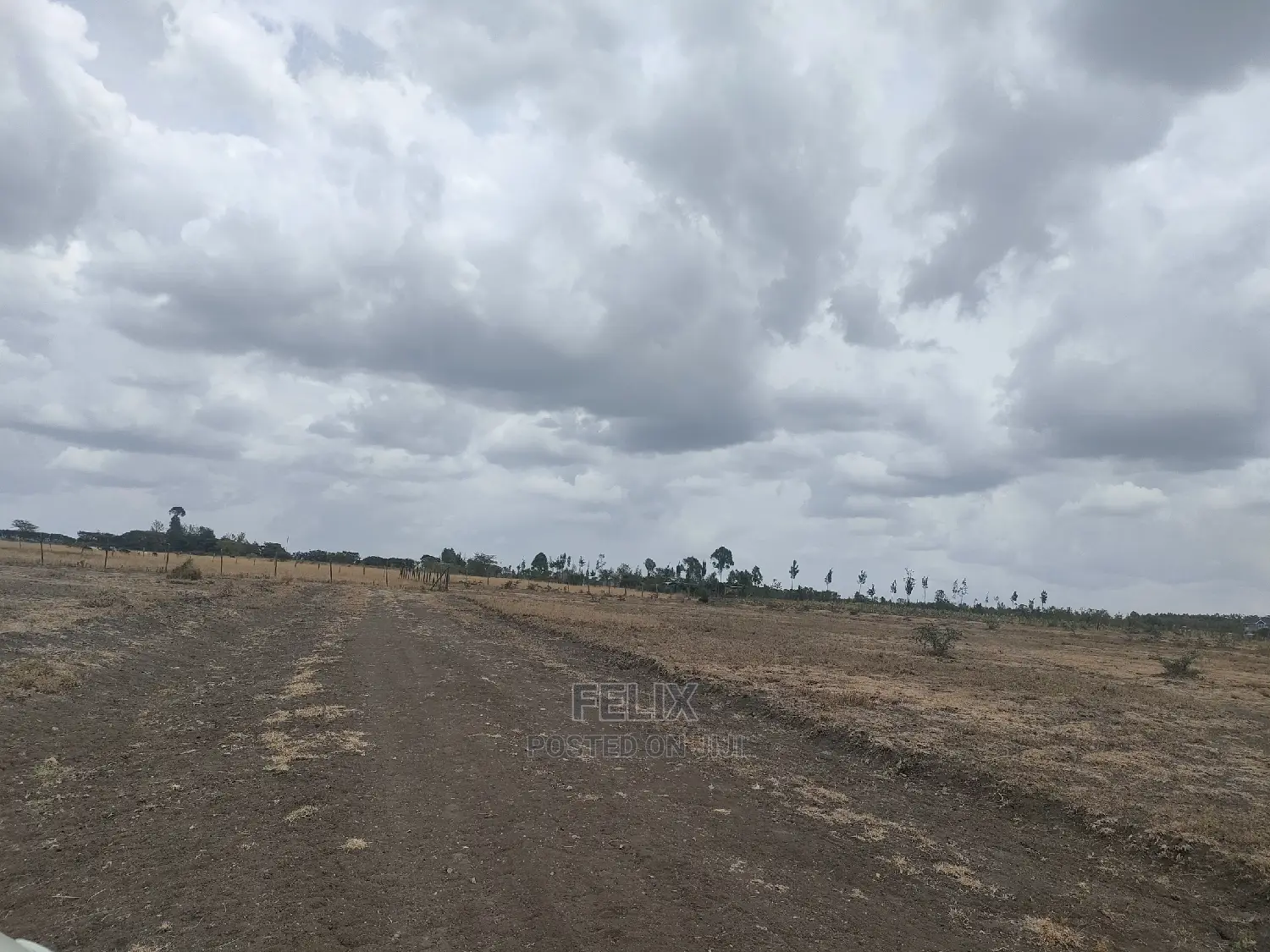 3 Acres Nanyuki/Mirera