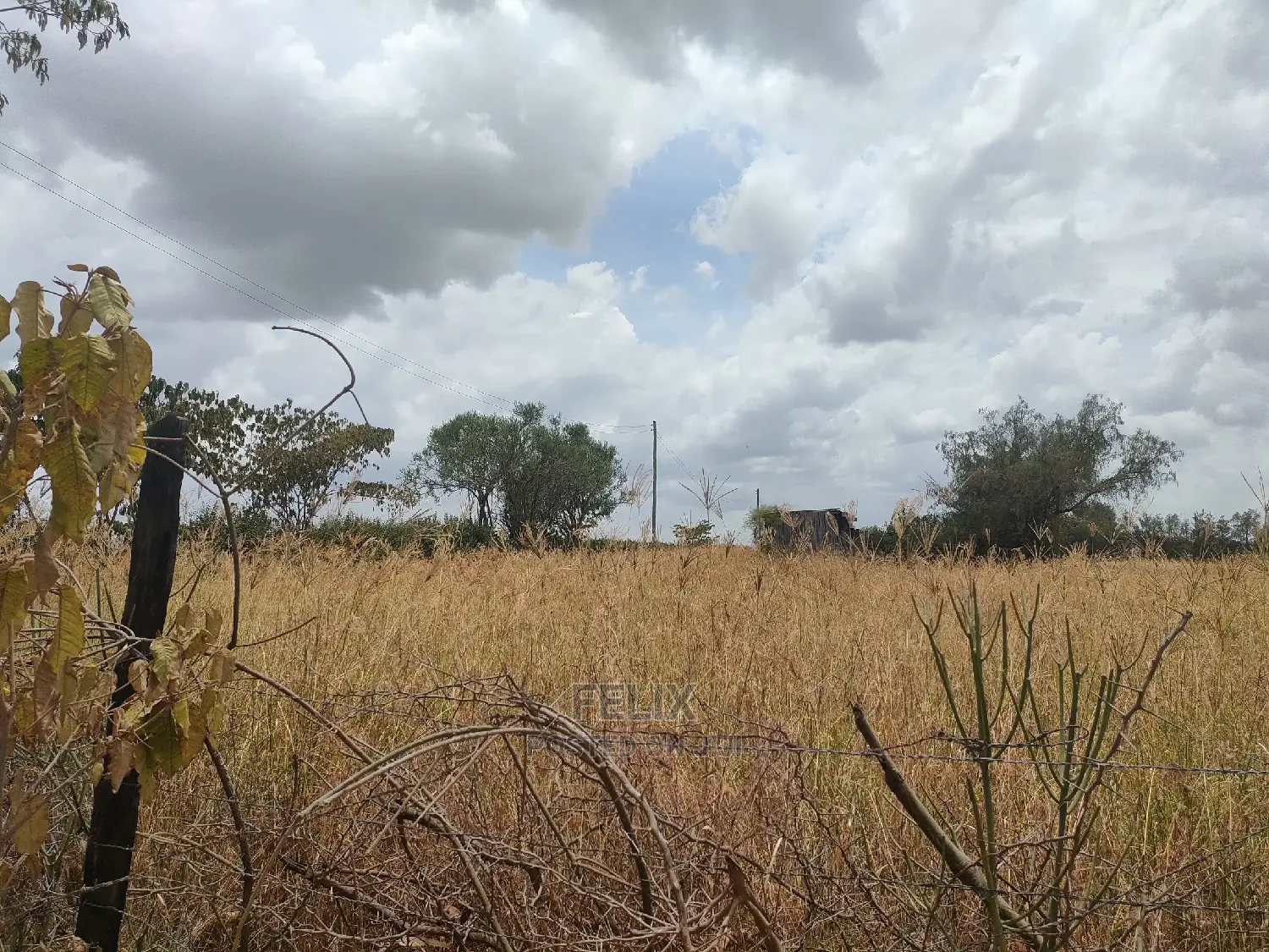 3 Acres Nanyuki/Mirera