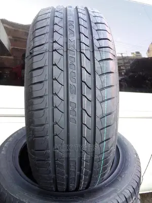 205/55r16 Maxtreck Tyres Made in China