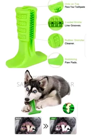 Rubber Dog Bone Toy Tooth Brush Treats