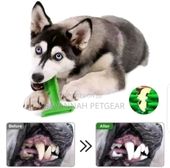 Rubber Dog Bone Toy Tooth Brush Treats