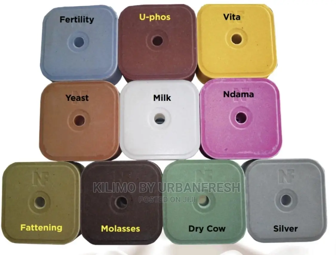 Licking Blocks for Livestocks 5kg Various