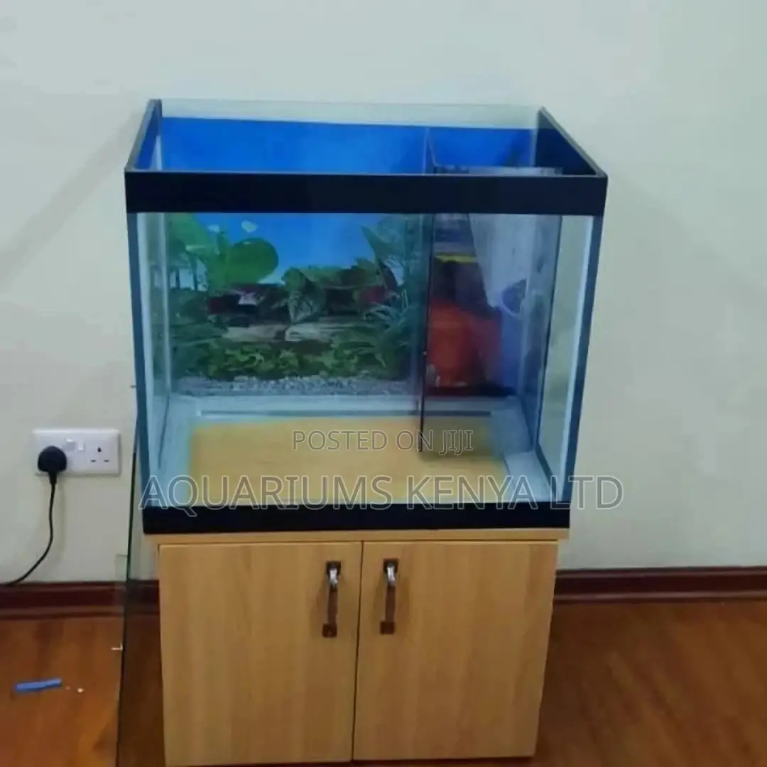 Petfish Aquariums