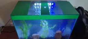Stripped Aquarium Top, Custom Aquarium Fish Tank, Petfish