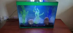 Green Theme Aquarium,All Colours Aquarium Available