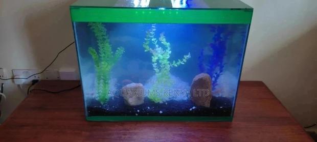 Green Theme Aquarium,All Colours Aquarium Available - main view
