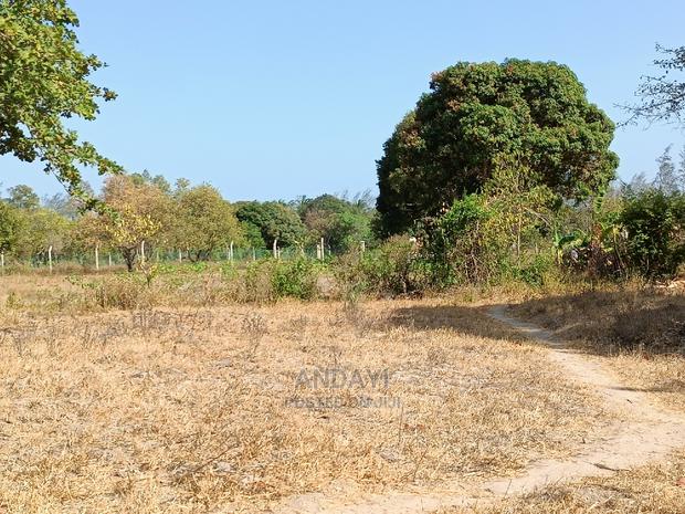 Prime Plots for Sale - Mtwapa - thumbnail 6