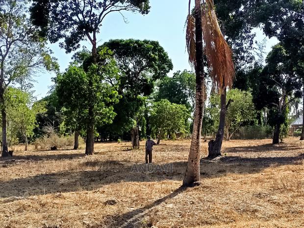 Prime Plots for Sale - Mtwapa - thumbnail 5