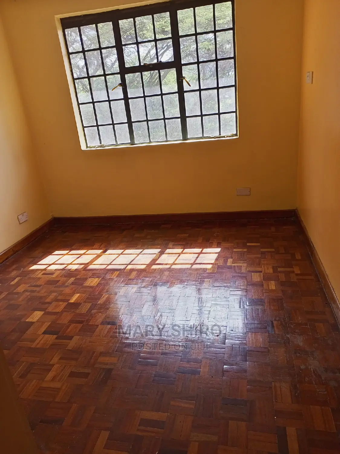 1bdrm Apartment in South B for Rent