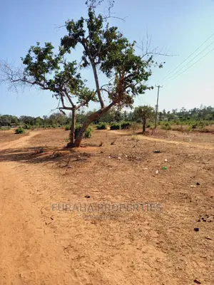 For Sale 4 Acre Land Mtapa