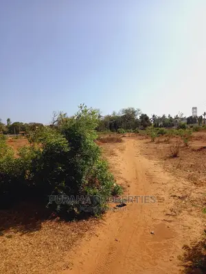For Sale 4 Acre Land Mtapa