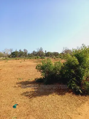 For Sale 4 Acre Land Mtapa