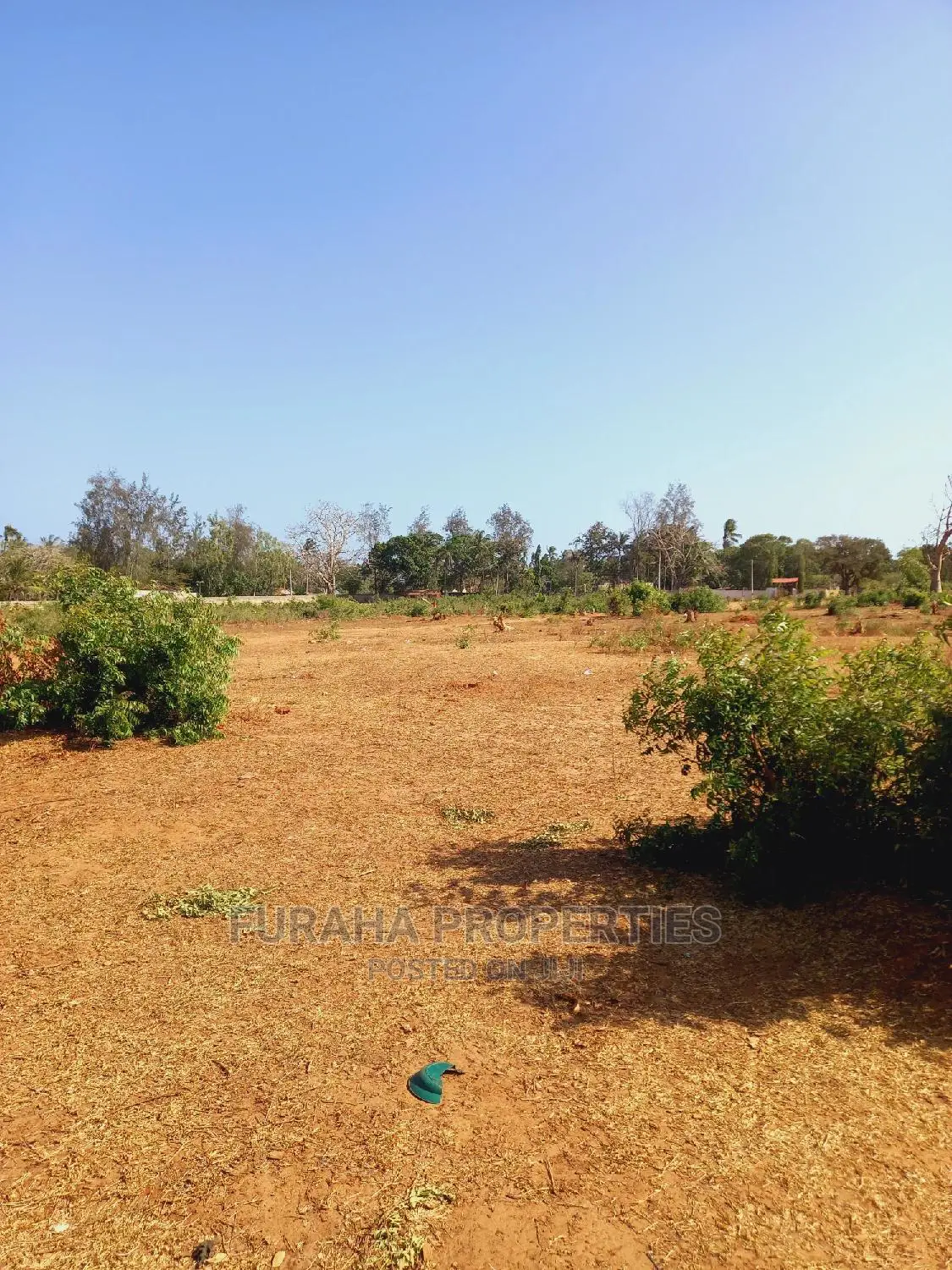 For Sale 4 Acre Land Mtapa