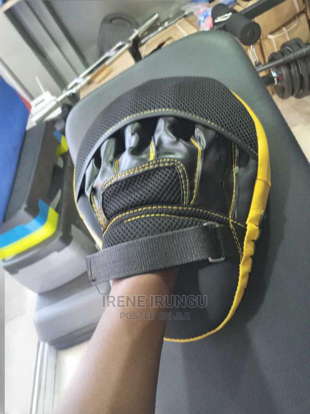 Boxing Pads, a Pair
