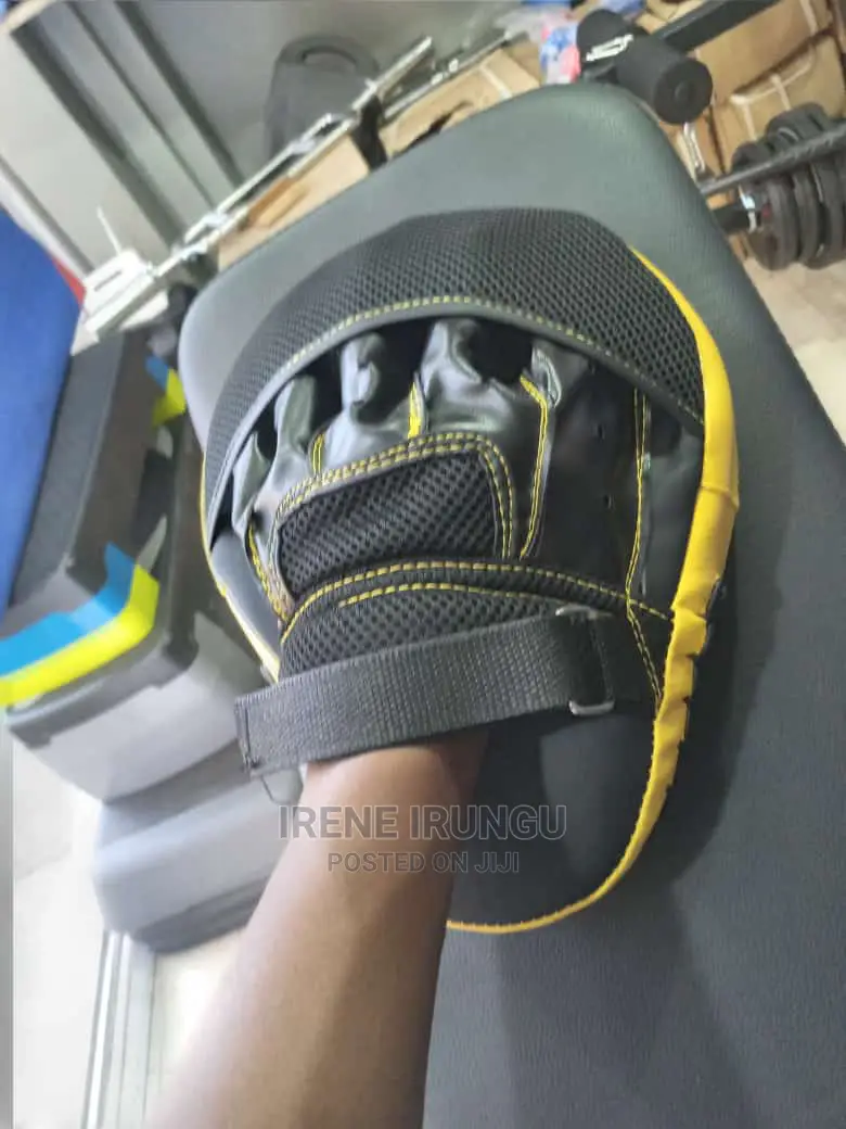 Boxing Pads, a Pair