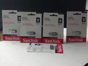 Flash Disk