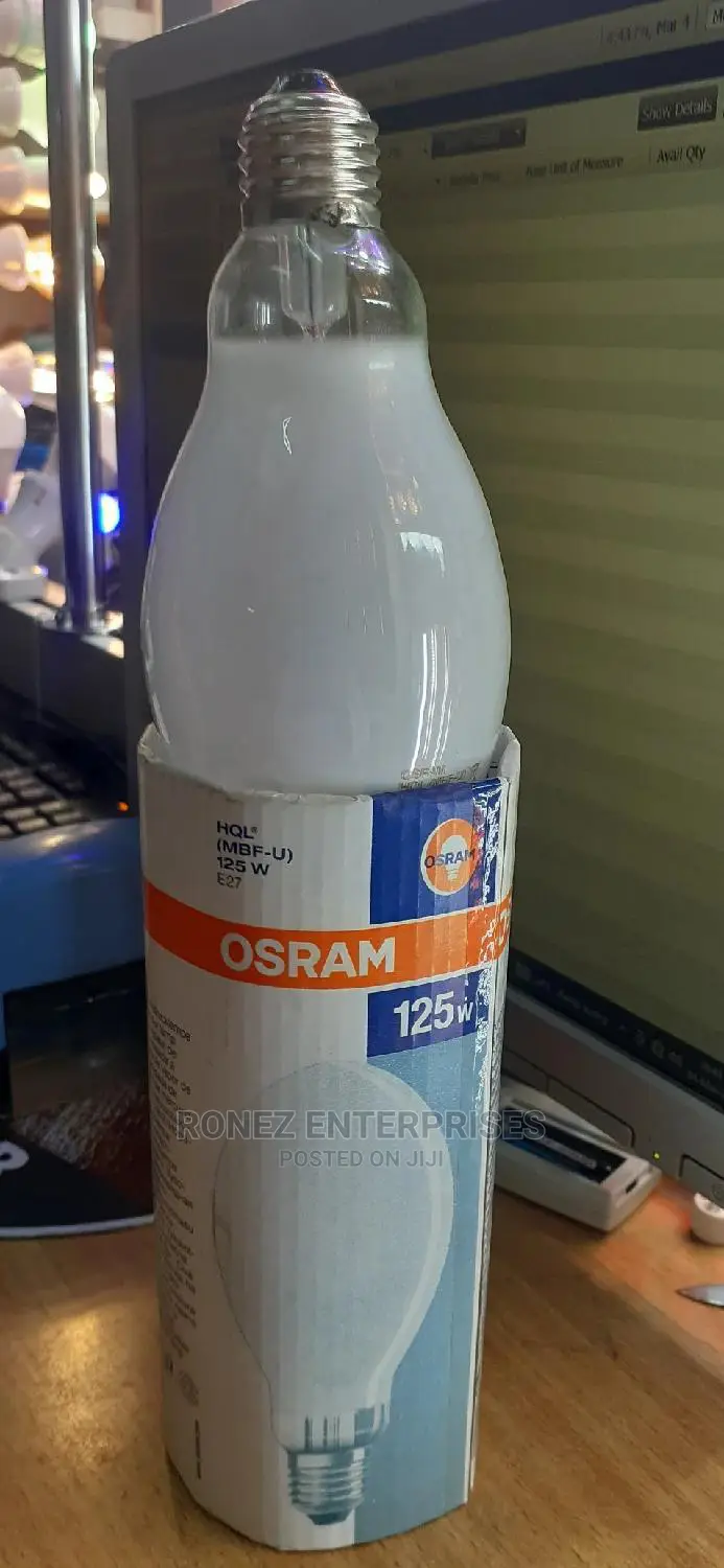 125 Wlt Mercury Bulb.