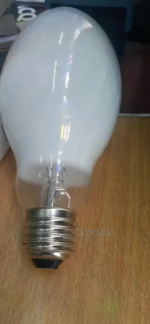 125 Wlt Mercury Bulb.