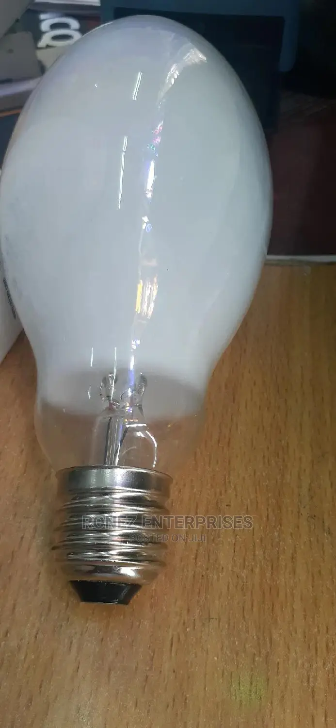 125 Wlt Mercury Bulb.