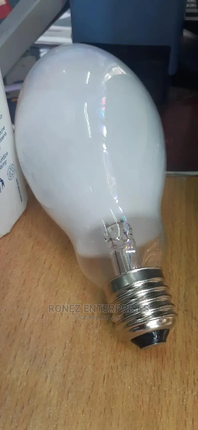 125 Wlt Mercury Bulb.