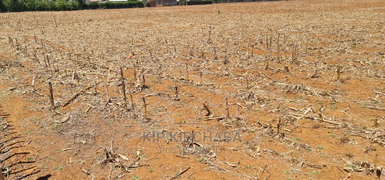 Prime Plots for Sale Touching Tarmac Marura Eldoret