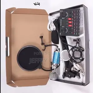 Professional Condenser Microphone