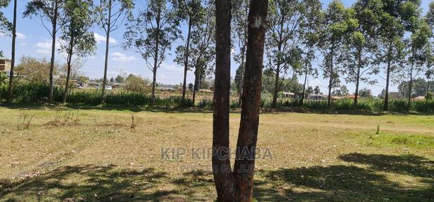 Very Prime Commercial Plot for Sale in Kimumu Eldoret - thumbnail 6