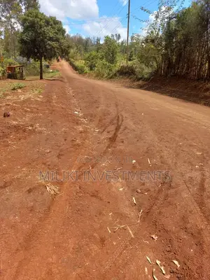 50 by 100 Plots on Sale at Kenol