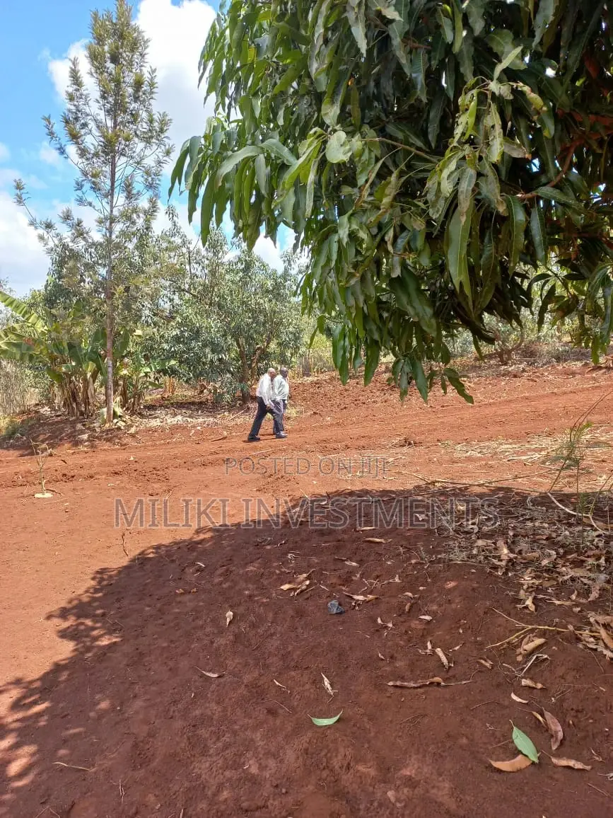 50 by 100 Plots on Sale at Kenol