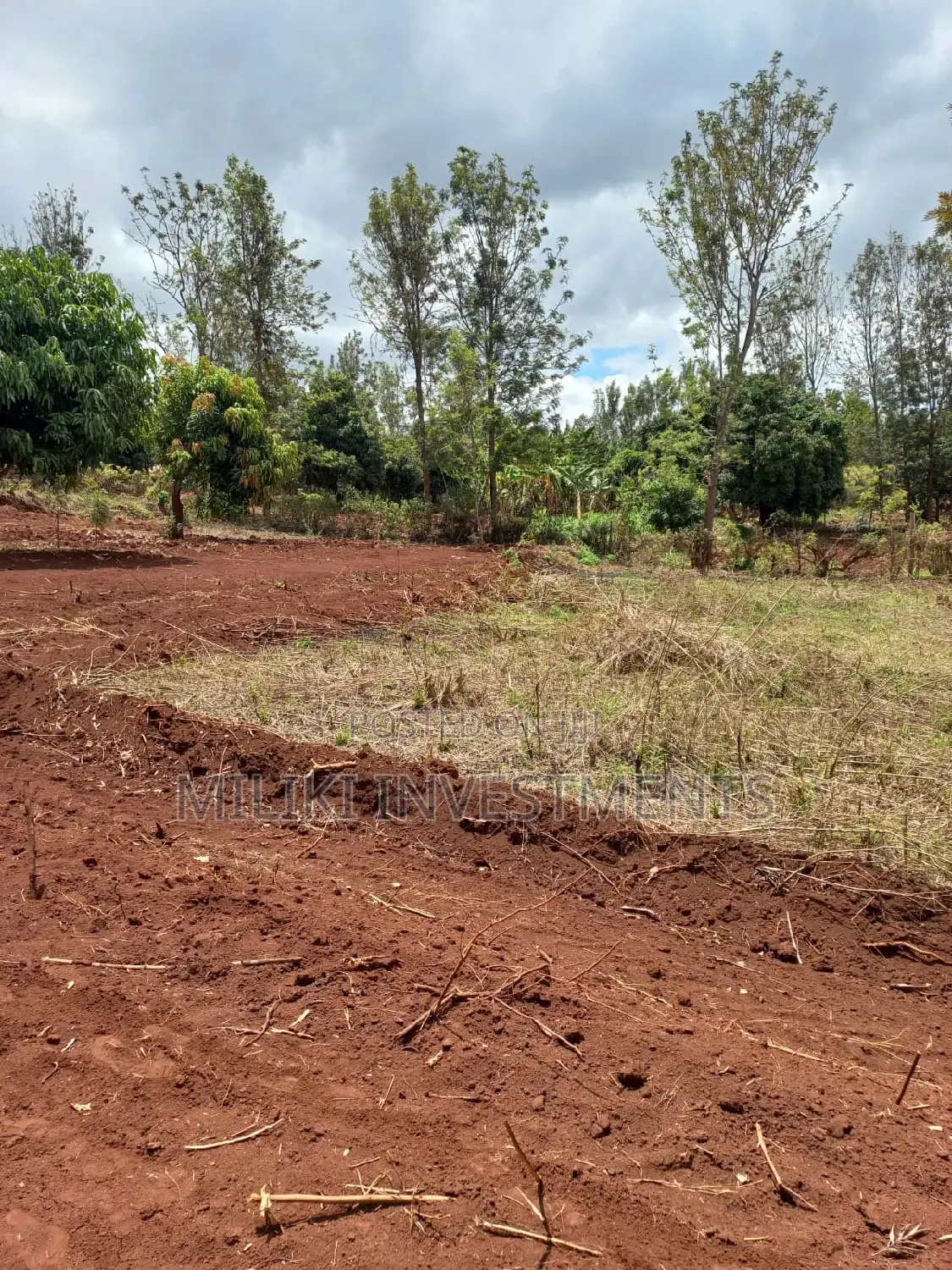 50 by 100 Plots on Sale at Kenol