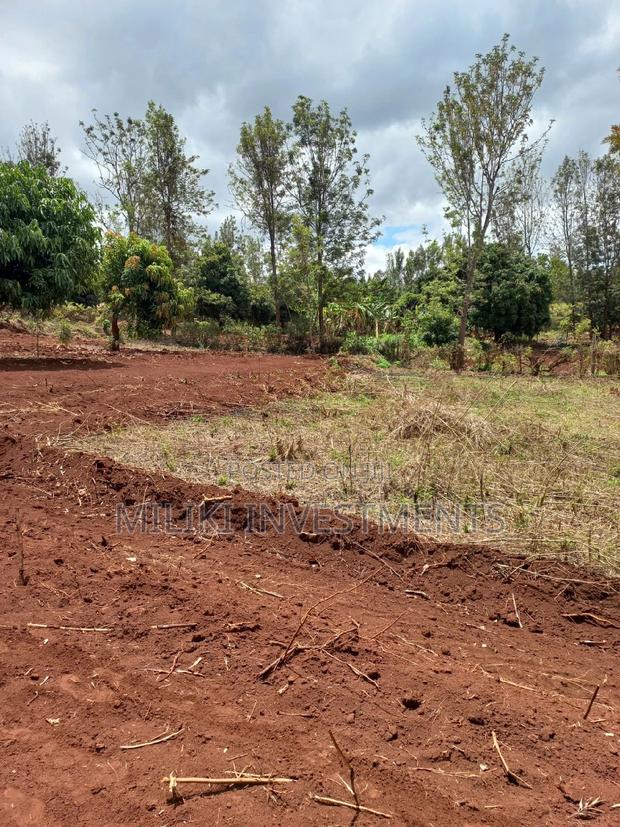 50 by 100 Plots on Sale at Kenol - thumbnail 8