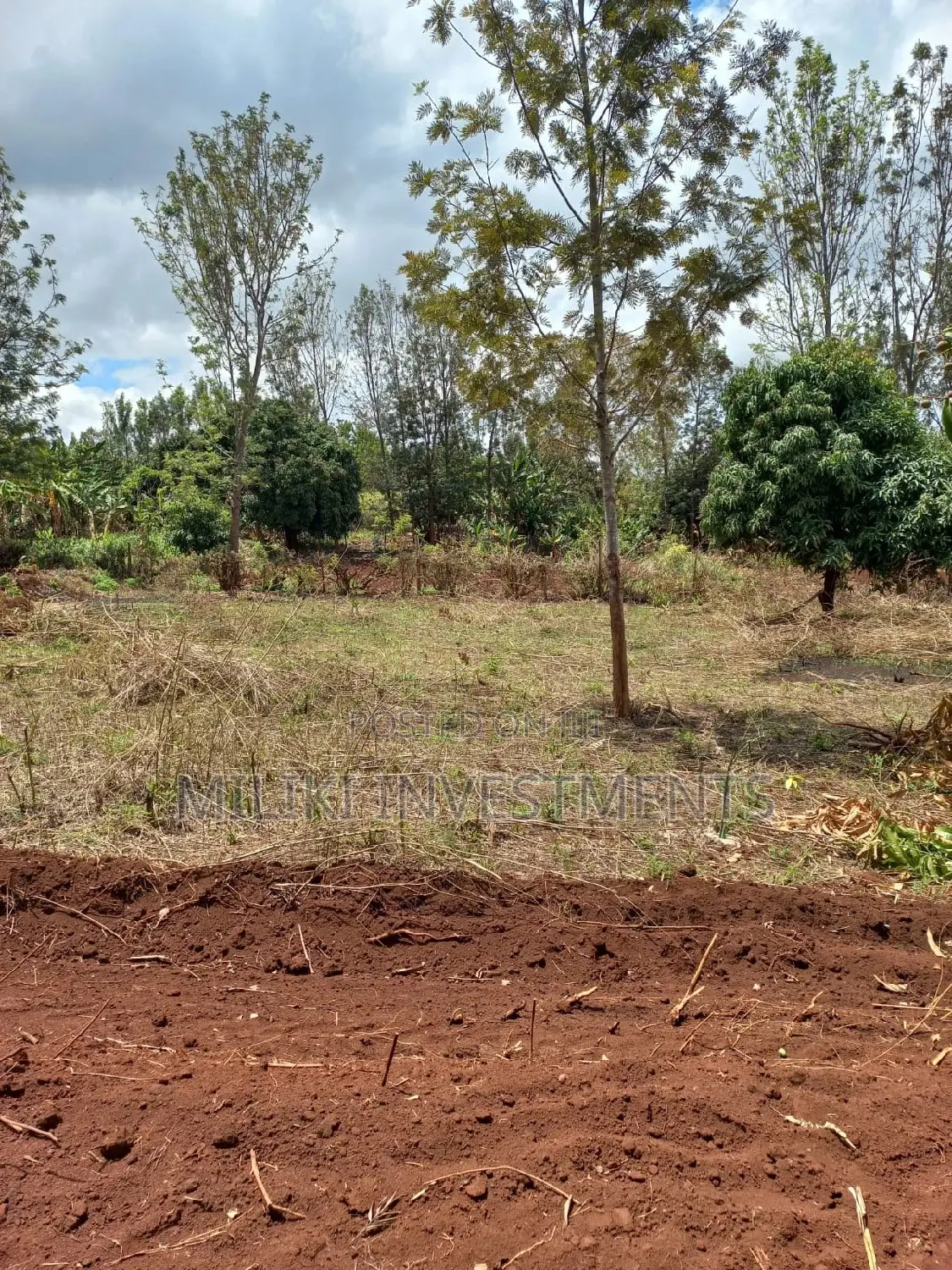 50 by 100 Plots on Sale at Kenol