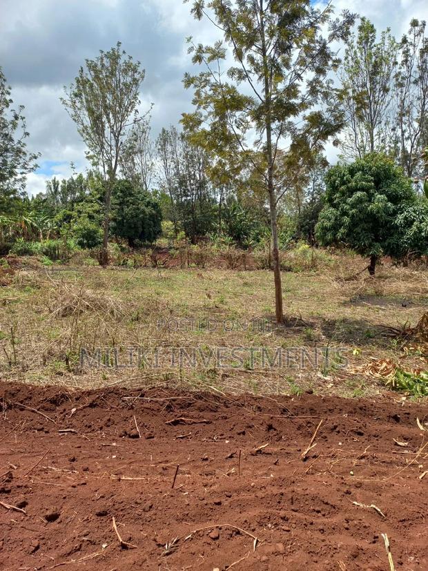 50 by 100 Plots on Sale at Kenol - thumbnail 7