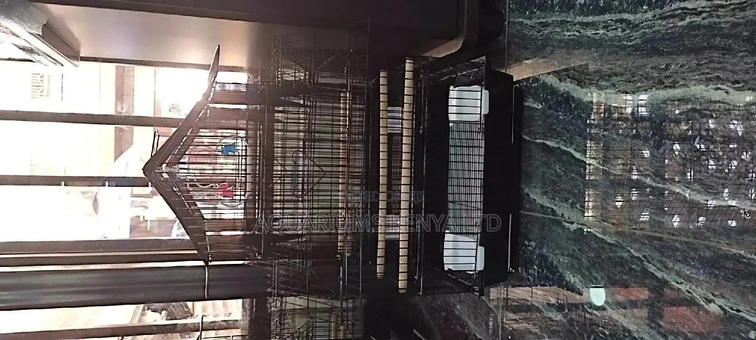 Black Average Size Bird Cage,Cage for Birds