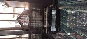Black Average Size Bird Cage,Cage for Birds - thumbnail 2