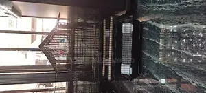 Black Average Size Bird Cage,Cage for Birds
