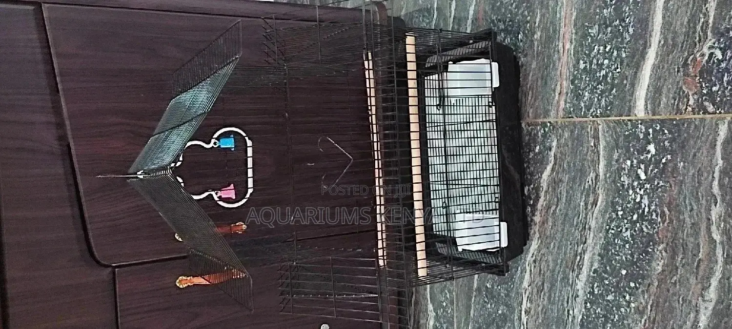 Quality Imported Bird Cage, Love Bird Cage
