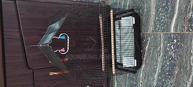 Imported Bird Cage - main view