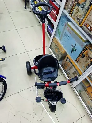 Tricycle Kids Bicycle