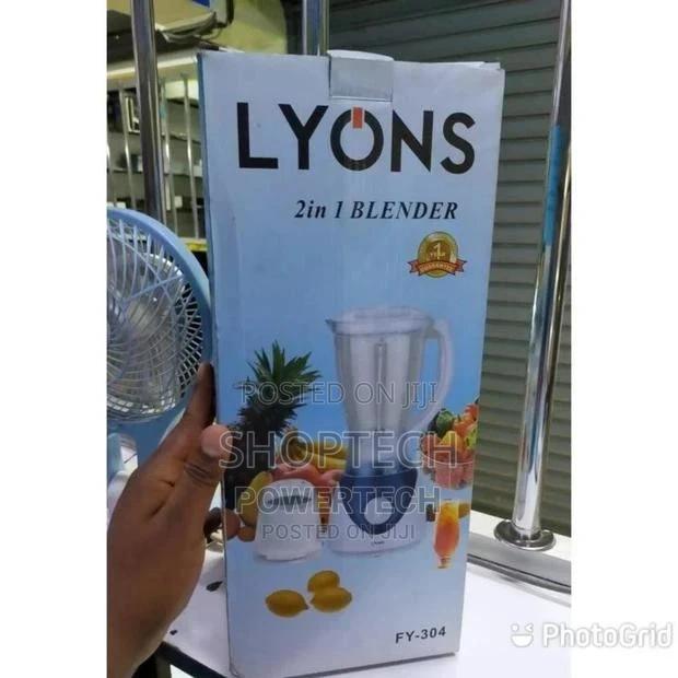 2 in 1 Lyons Blender - main view