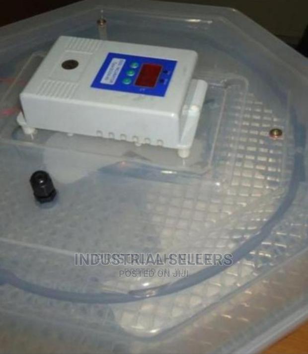 Manual Incubator 60 Eggs