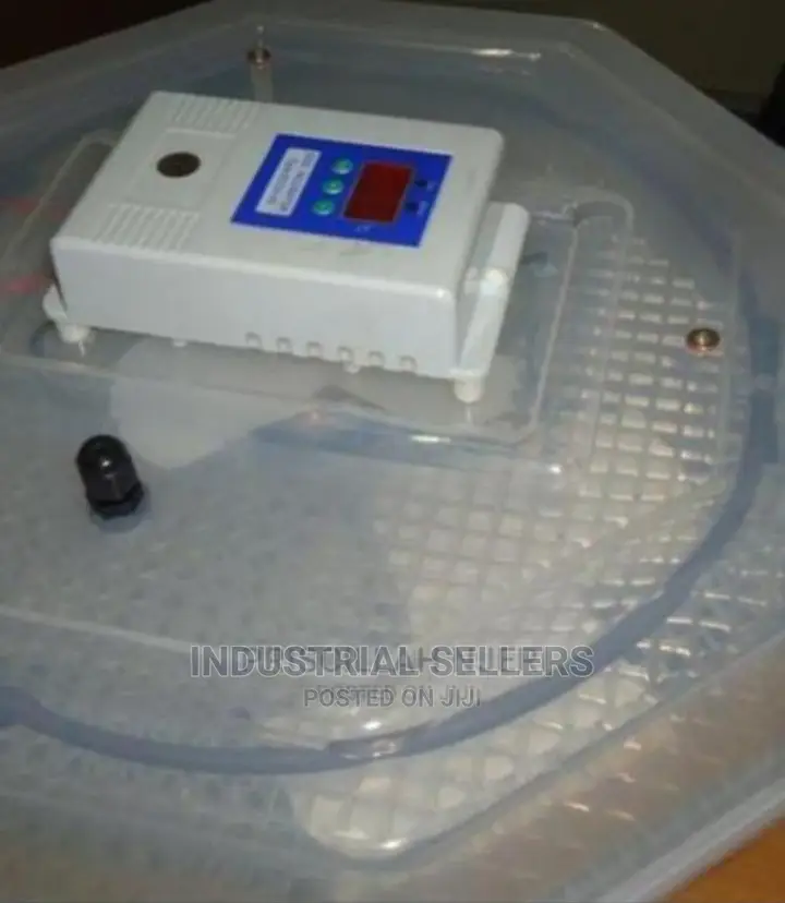 Manual Incubator 60 Eggs