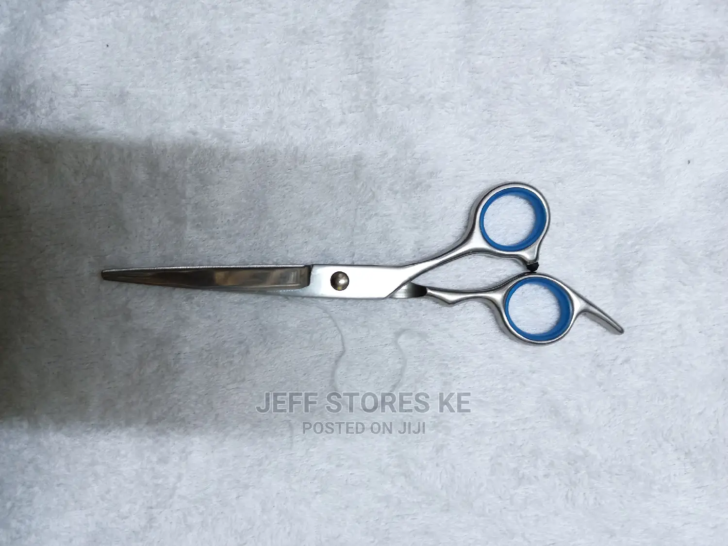 Stainless Scissor